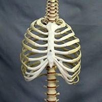 @heychiropractors profile picture