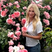 @illustratorsgarden profile picture