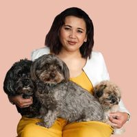 @inaj.thepetphotoceo profile picture