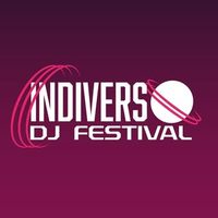 @indiversofestival profile picture