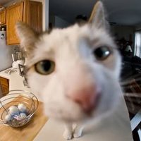@internettbestbits profile picture