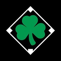 @irishbaseballsociety profile picture