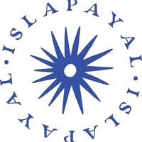 @islapayal profile picture