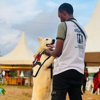@joshua_the_dog_trainer profile picture