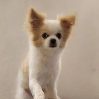 @jrintoronto