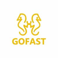 @just.gofast profile picture