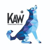 @kannan_animal_welfare profile picture