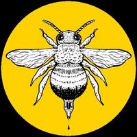 @l.abeille.blanche profile picture
