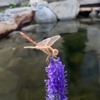 @landscape.kz profile picture