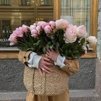 @landscape_eliarch profile picture