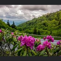 @landscapes_by_nature profile picture