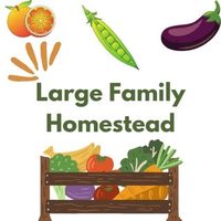 @largefamilyhomesteadtx