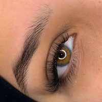 @lashed_dz profile picture
