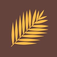 @laspalmasnash profile picture