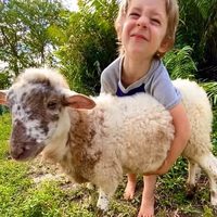 @lawsonfamilyhomestead