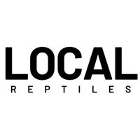 @localreptiles profile picture