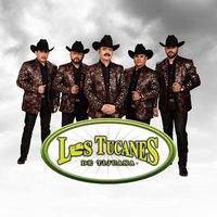@lostucanesdetijuana