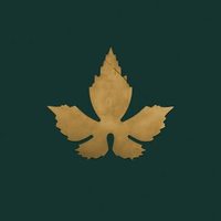 @maisterbrewery profile picture