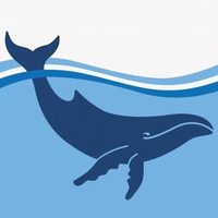 @marineconservation.au profile picture