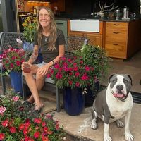 @mccumberfinegardens profile picture