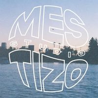 @mestizostudio_
