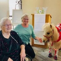 @mightyminihorsetherapy profile picture