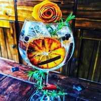 @mixologista_bartender profile picture