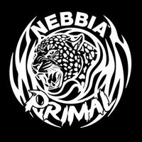 @nebbia_fitness profile picture