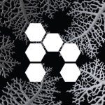 @nervous.system profile picture