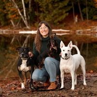 @nomichmutts profile picture