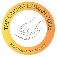 @nordicdogtrainer profile picture