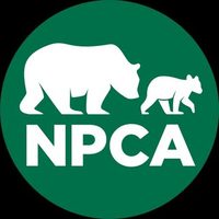 @npcapics profile picture