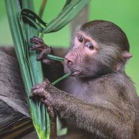 @oaklandzoo profile picture