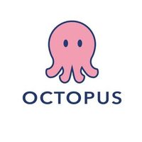 @octopus_beachlifestyle