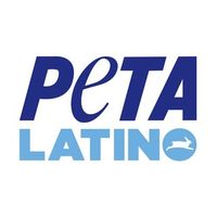 @officialpetalatino profile picture