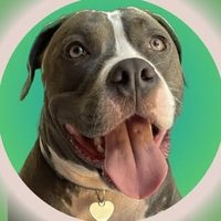 @olivia.amstaff
