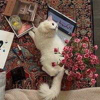@painter_wafa profile picture