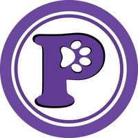 @pawpalsdaycare profile picture