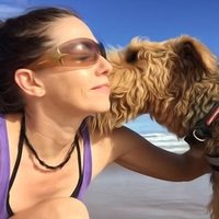 @pawsnclawscoffsharbour profile picture