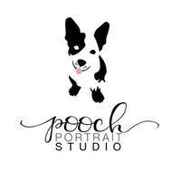 @poochportraitstudio profile picture