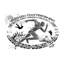 @precision_stunt_performers profile picture