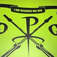@primeathleticsphl