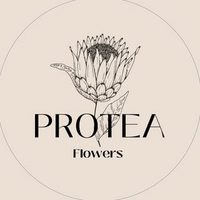 @protea_flowers_studio profile picture