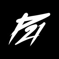 @punch21ua profile picture