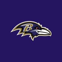 @ravens profile picture