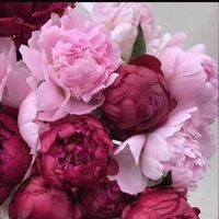 @realtor_dubai_