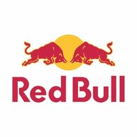 @redbullgermany profile picture
