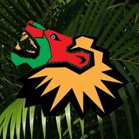 @reggaelakefestival profile picture