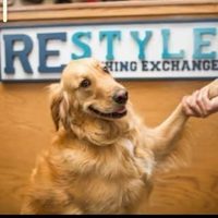 @restyleclothingexchange profile picture