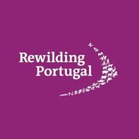 @rewilding_portugal profile picture